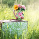 置くだけで癒される夏の室内グリーン